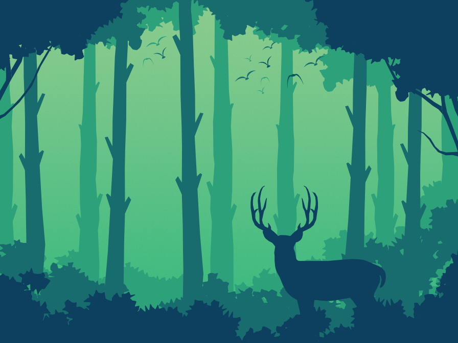 A Beginners Guide to Antlers Arrays and Loops